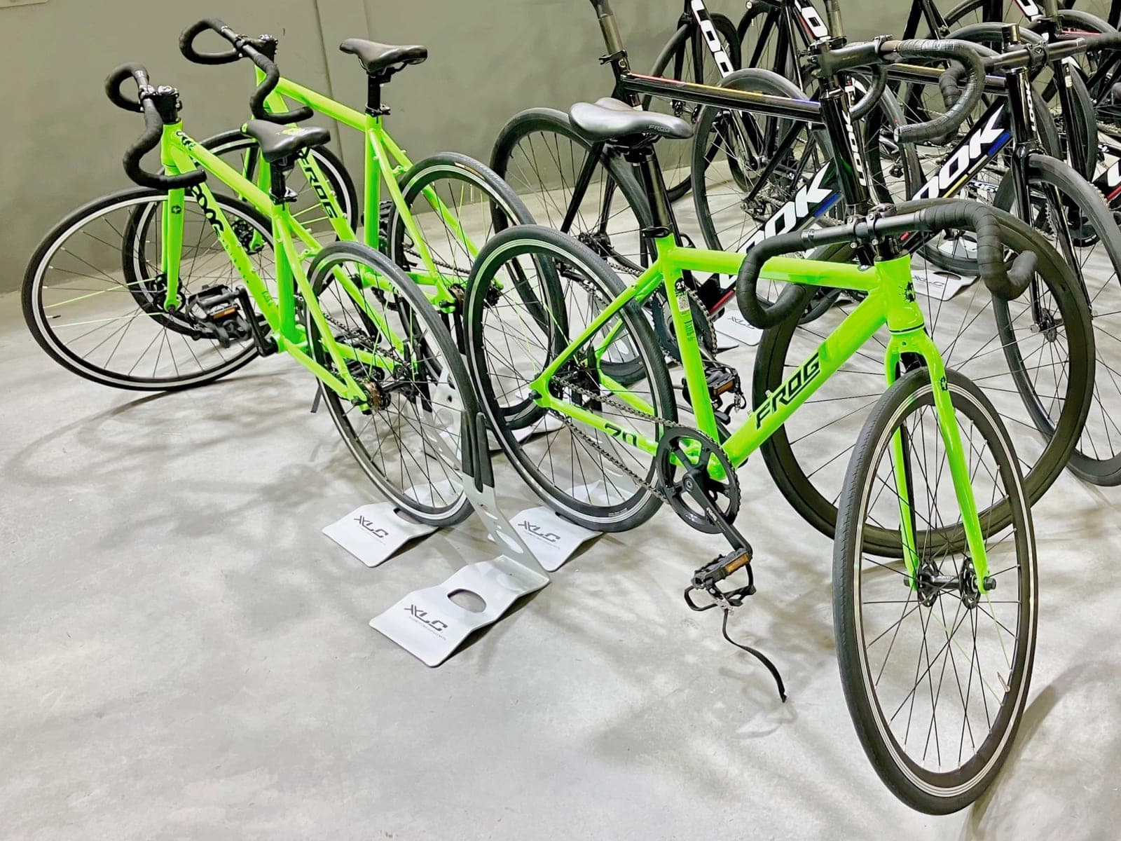Road racing bicycles lined up in a rack.