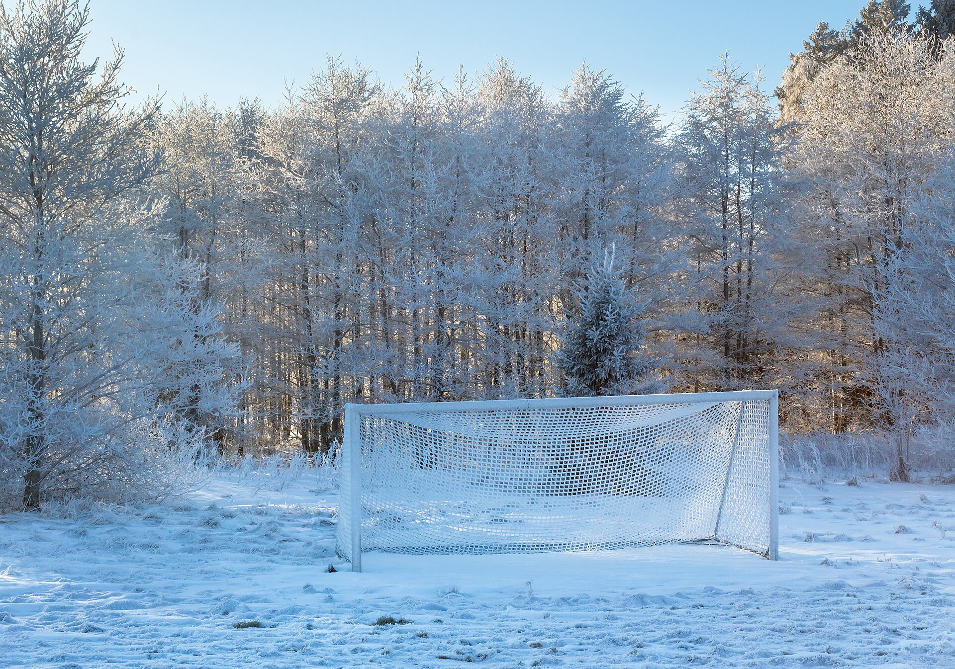 A white football goal with its net standing alone on a snow-covered pitch, hoar-frosted trees behind it and clear pale sky above.